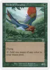 Product image for Birds of Paradise