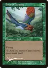 Product image for Birds of Paradise