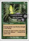 Product image for Araignée de la canopée