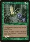 Product image for Araignée de la canopée