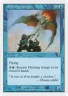 Product image for Fleeting Image