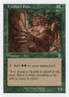 Product image for Fyndhorn Elder