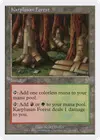 Product image for Karplusan Forest