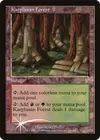 Product image for Karplusan Forest