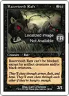 Product image for Rats aux dents tranchantes