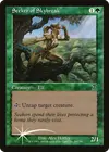 Product image for Seeker of Skybreak