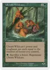 Product image for Uktabi Wildcats