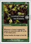 Product image for Floraison printanière