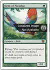 Product image for Oiseaux de paradis