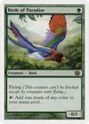 Product image for Birds of Paradise