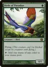 Product image for Birds of Paradise