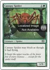 Product image for Araignée de la canopée