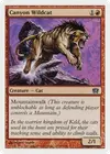 Product image for Canyon Wildcat