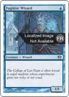 Product image for Sorcier fugitif