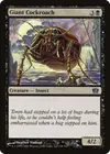 Product image for Giant Cockroach