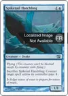 Product image for Jeune dracodard