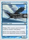 Product image for Corbeau de l'orage