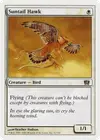 Product image for Suntail Hawk