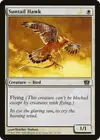 Product image for Suntail Hawk