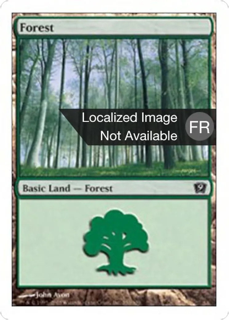 Forêt — Ninth Edition — Magic: The Gathering