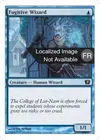 Product image for Sorcier fugitif