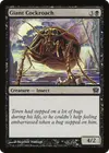 Product image for Giant Cockroach