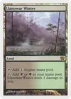 Product image for Llanowar Wastes
