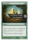 Product image for Naturalisation