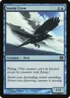 Product image for Storm Crow