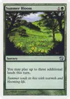 Product image for Summer Bloom