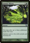 Product image for Summer Bloom