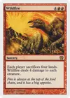 Product image for Wildfire