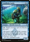 Product image for Coralhelm Guide