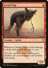 Product image for Jackal Pup