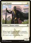 Product image for Sentinelle loyale