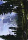 Product image for Forest