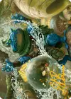 Product image for Pond Prophet