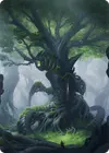 Product image for Forest