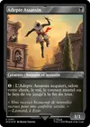 Product image for Adepte Assassin