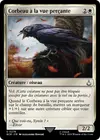 Product image for Corbeau à la vue perçante