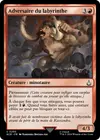 Product image for Adversaire du labyrinthe