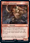 Product image for Labyrinth Adversary