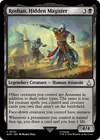 Product image for Roshan, Hidden Magister