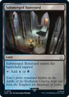 Product image for Submerged Boneyard