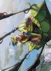 Product image for Nael, Avizoa Aeronaut