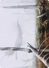Product image for Swamp