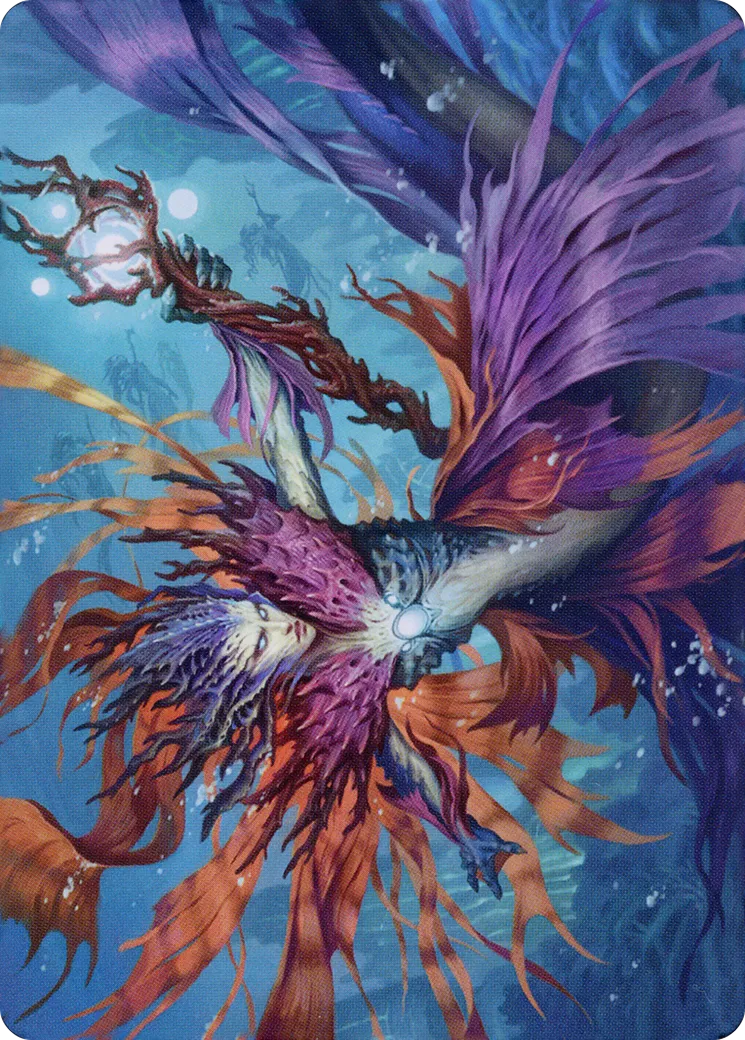 Vodalian Hexcatcher — Dominaria United Art Series — Magic: The Gathering