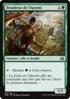 Product image for Druidesse de l'Auvent