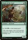 Product image for Druid of the Cowl