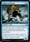 Product image for Crabe renfloueur